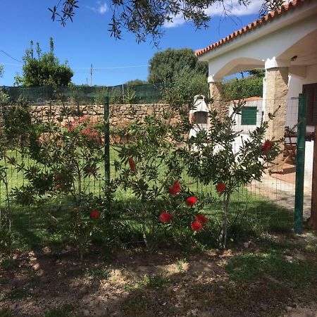 מרינלה Azienda Multifunzionale S'Ozastro מראה חיצוני תמונה