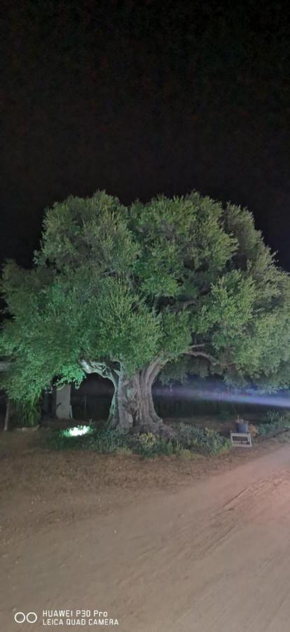 מרינלה Azienda Multifunzionale S'Ozastro מראה חיצוני תמונה