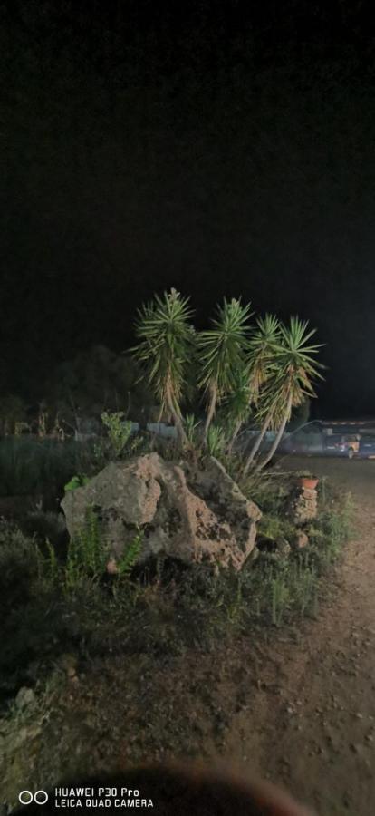 מרינלה Azienda Multifunzionale S'Ozastro מראה חיצוני תמונה