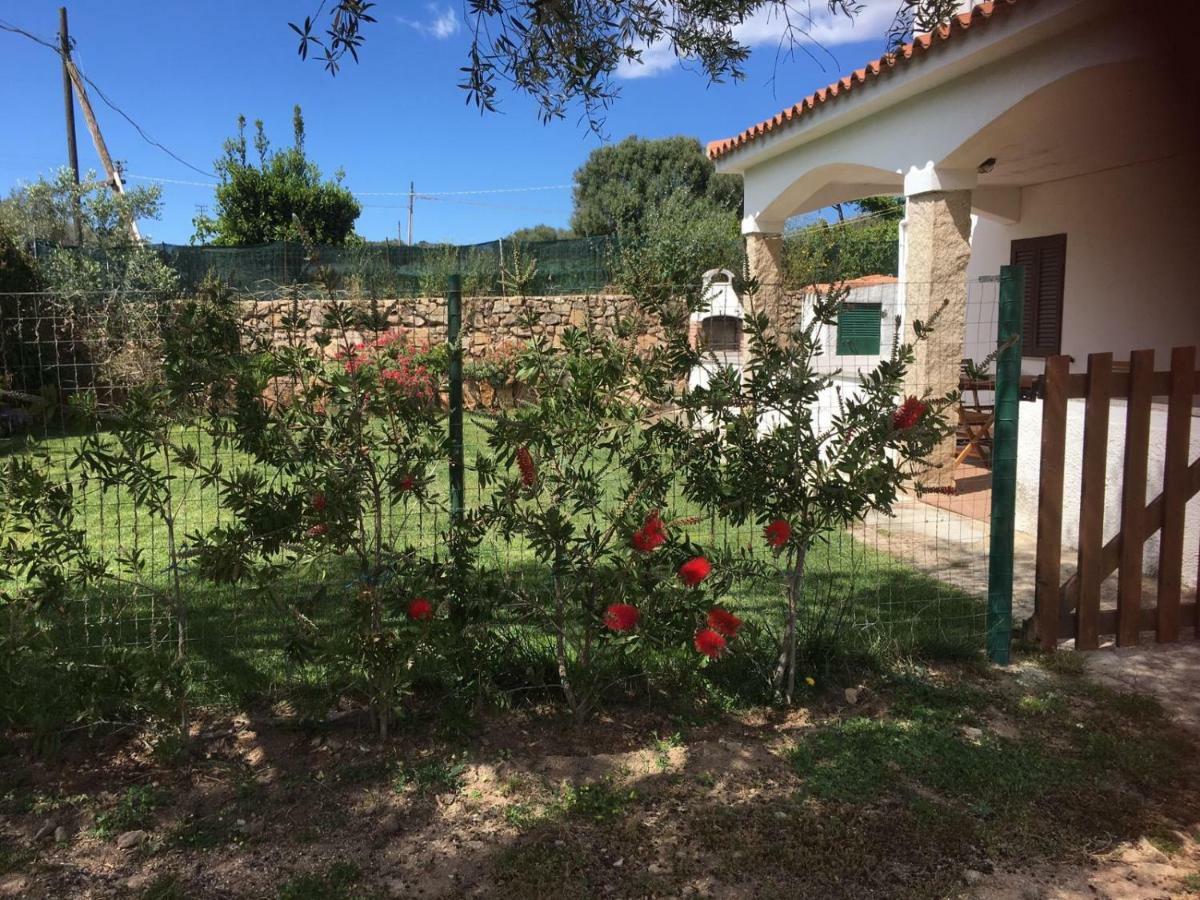 מרינלה Azienda Multifunzionale S'Ozastro מראה חיצוני תמונה
